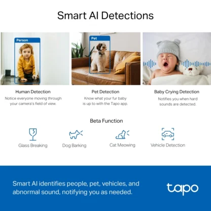 Tapo C220: Cámara WiFi 360° con IA y Visión Nocturna - Imagen 6